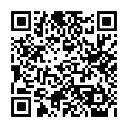 QR code for plate 387-595