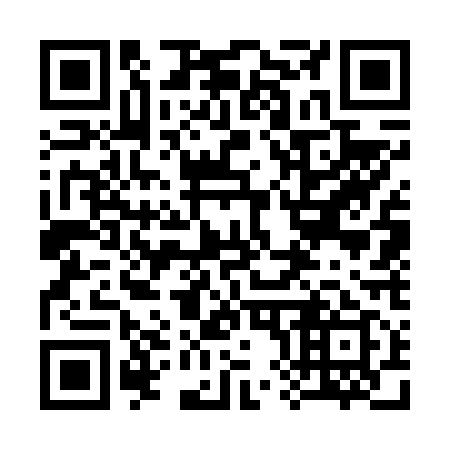 QR code for 387619