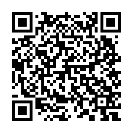 QR code for plate 387-663