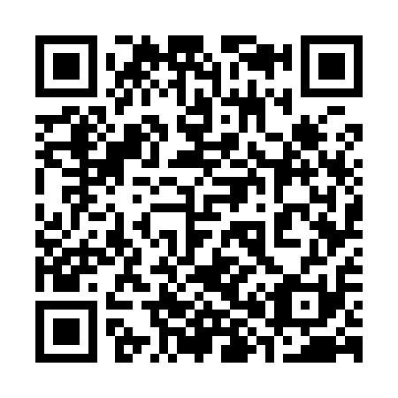 QR code for plate 387-911