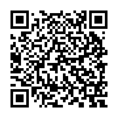 QR code for plate 388-294