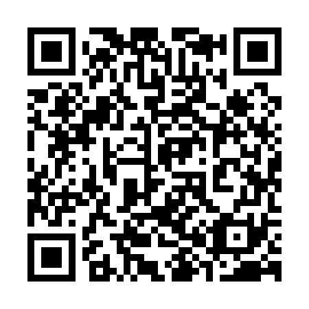 QR code for plate 389-171