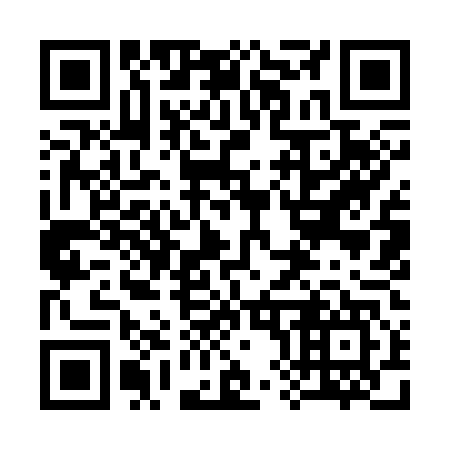 QR code for plate 389-347