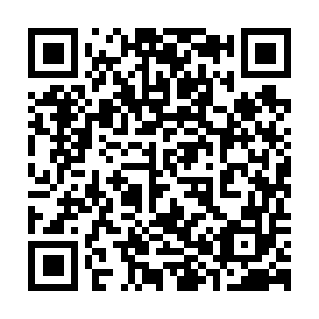 QR code for plate 389-652