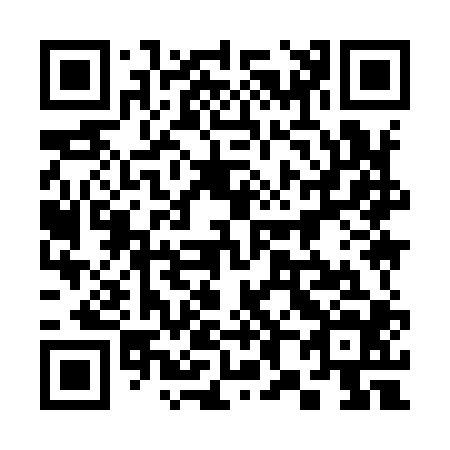 QR code for plate 389-904