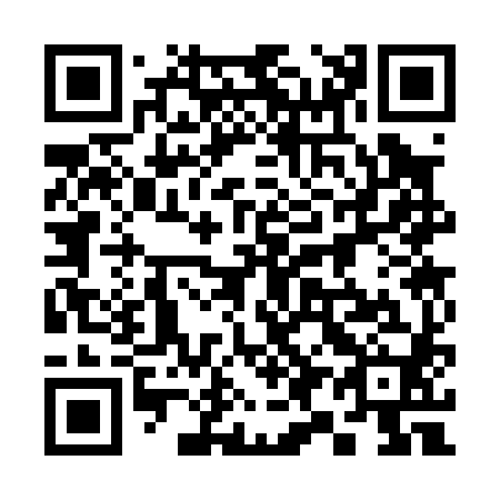 QR code for 393080