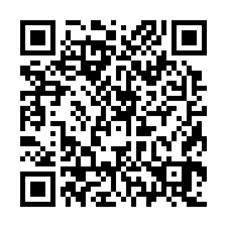 QR code for 393363