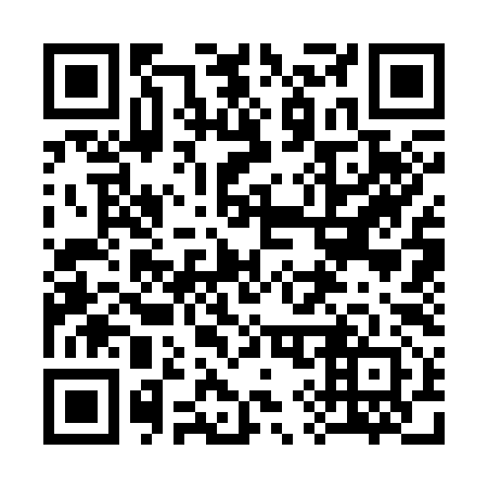 QR code for 393392