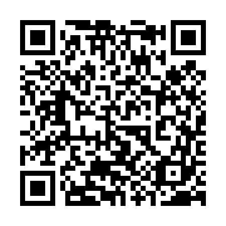 QR code for 393463