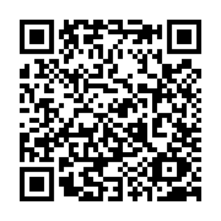 QR code for 3935