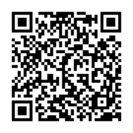 QR code for plate 393-563