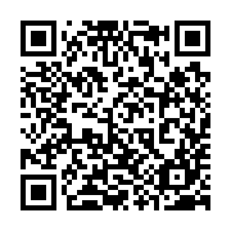 QR code for 393784
