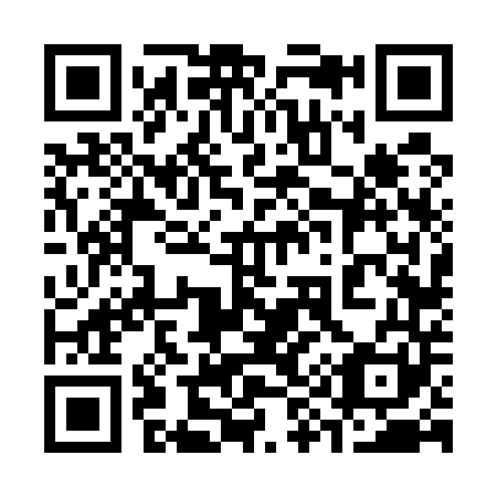 QR code for plate 396-541
