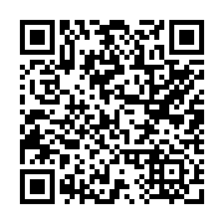 QR code for 397-213