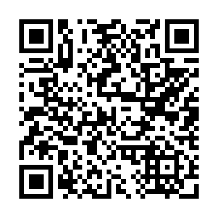 QR code for 397-619