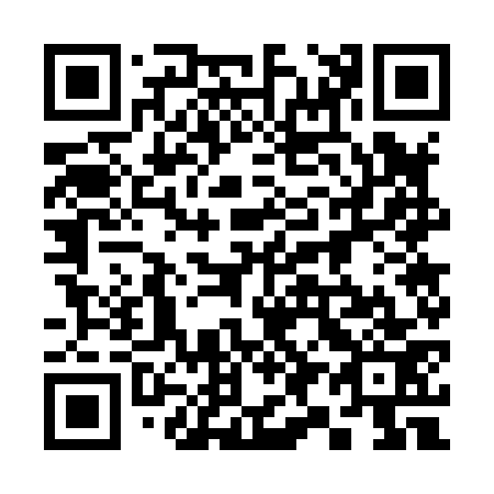 QR code for plate 397-873