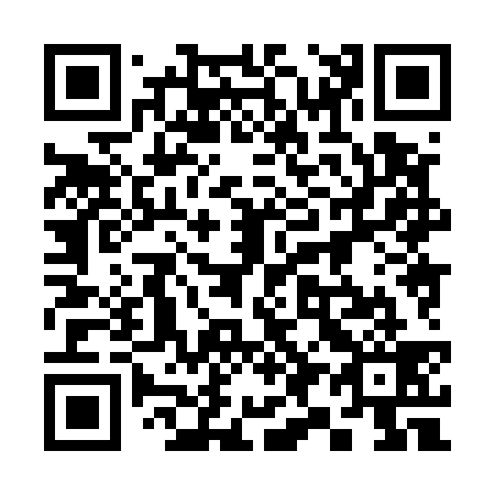 QR code for 398-539