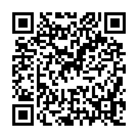 QR code for 3993