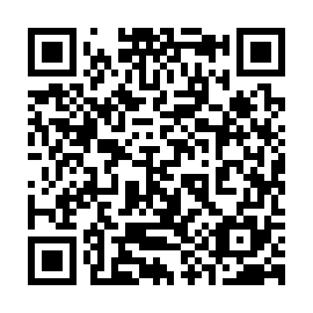 QR code for plate 399-375