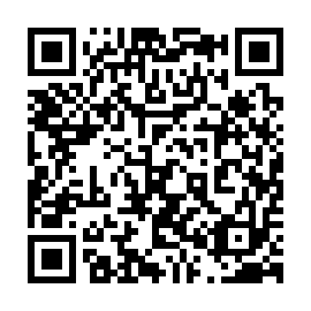 QR code for plate 401-313