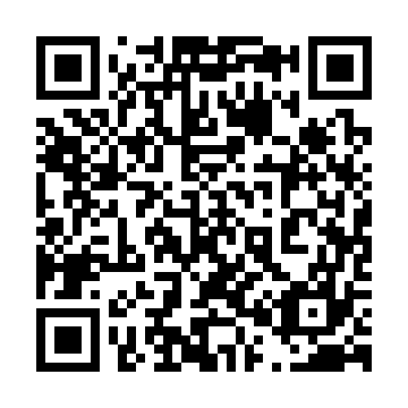 QR code for 401377