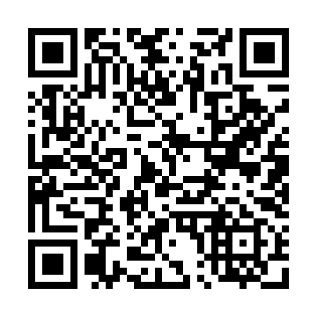 QR code for plate 401-599