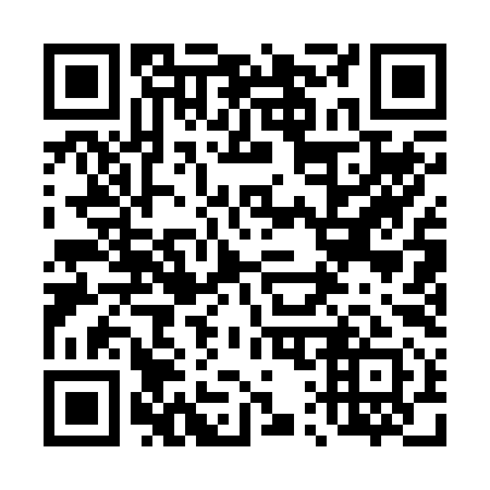 QR code for 411291