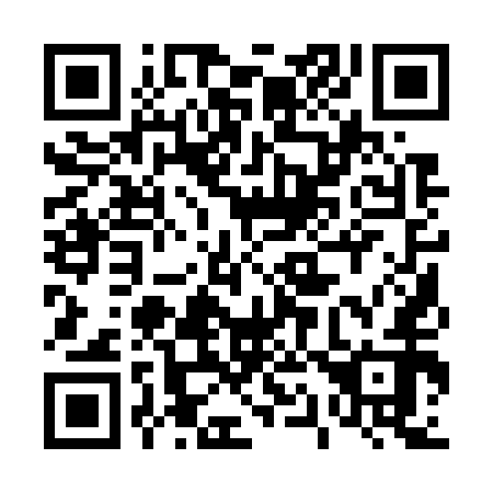QR code for 411752