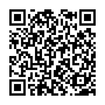 QR code for 411771