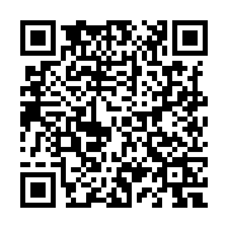 QR code for 4119