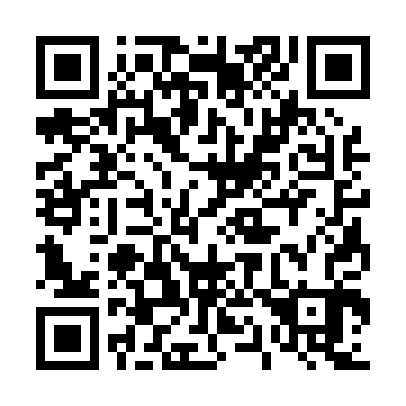 QR code for 413003
