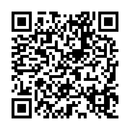 QR code for 41991