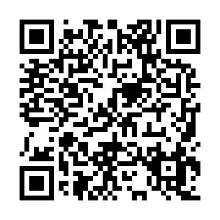 QR code for 41993