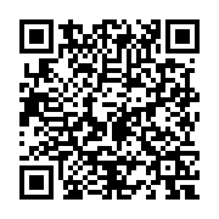 QR code for 4295