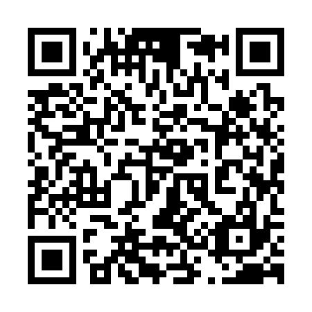 QR code for plate 439-337