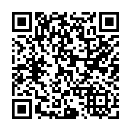 QR code for plate 439-919