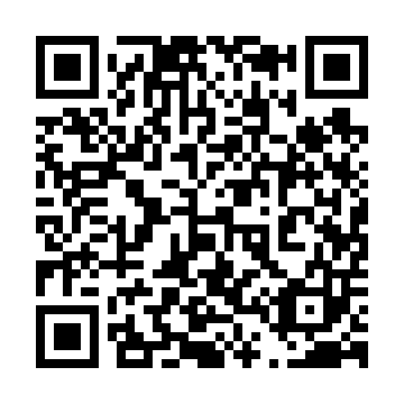 QR code for 441603