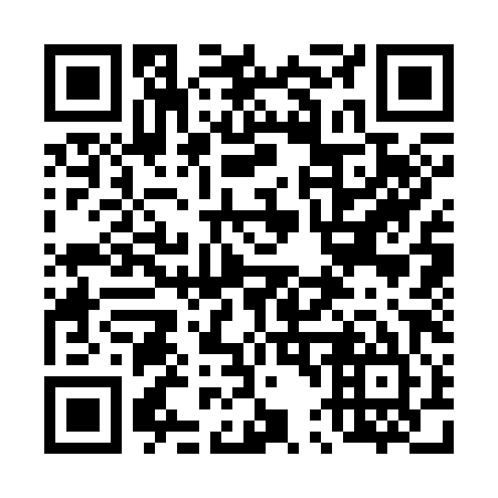 QR code for 443385