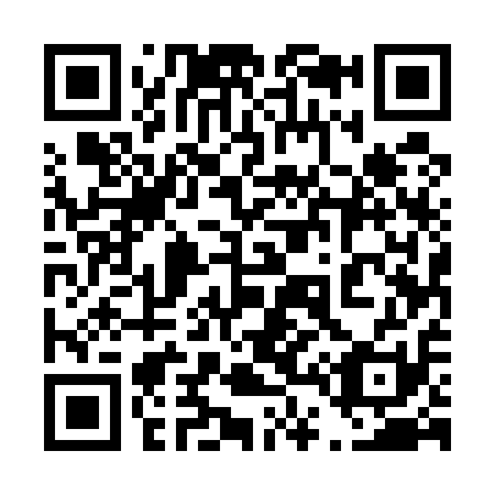 QR code for plate 445-511