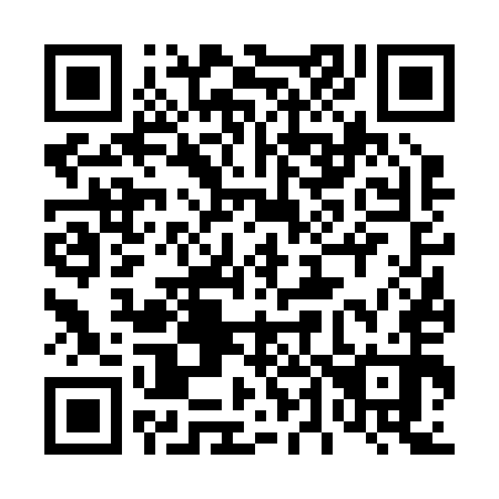 QR code for 446-250