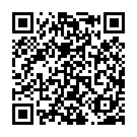 QR code for 450-411