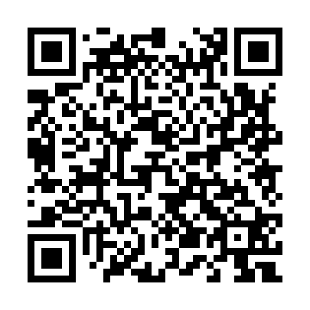 QR code for plate 450-920