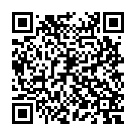 QR code for plate 453-102