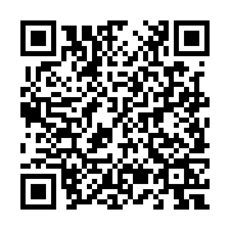 QR code for 4541
