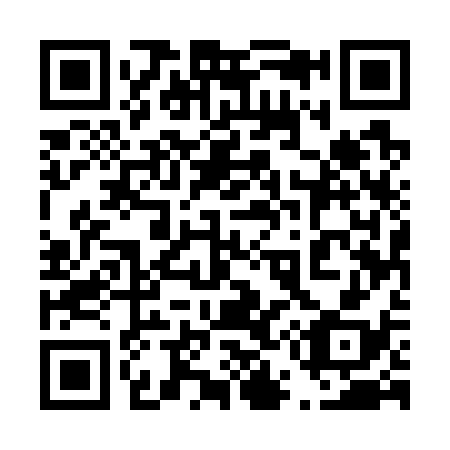 QR code for plate 455-738