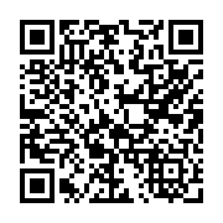 QR code for 460003