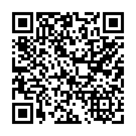 QR code for 460287