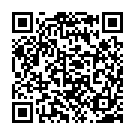 QR code for 461-333