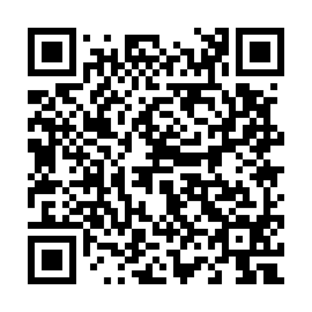 QR code for plate 461-594