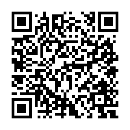 QR code for 46165